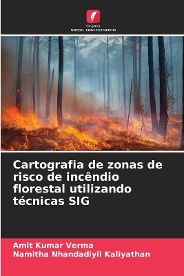 Book cover for Cartografia de zonas de risco de incêndio florestal utilizando técnicas SIG