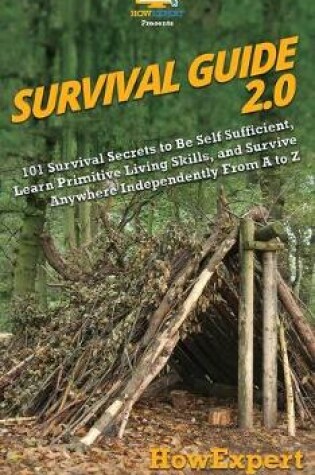 Cover of Survival Guide 2.0