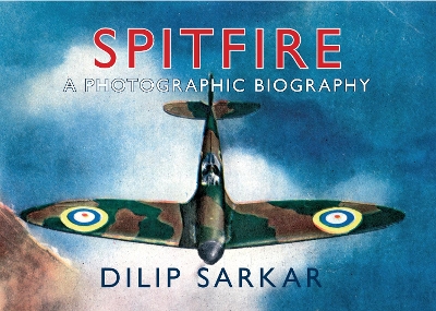 Book cover for Spitfire