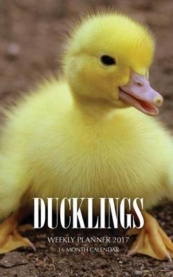 Book cover for Ducklings Weekly Planner 2017