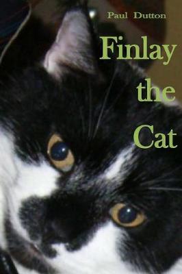Book cover for Finlay the Cat
