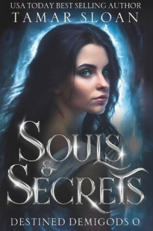 Cover of Souls and Secrets