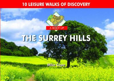 Book cover for A Boot Up the Surrey Hills