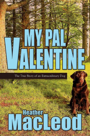 Cover of My Pal Valentine