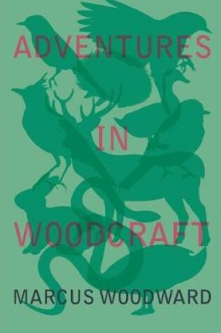 Cover of Adventures in Woodcraft
