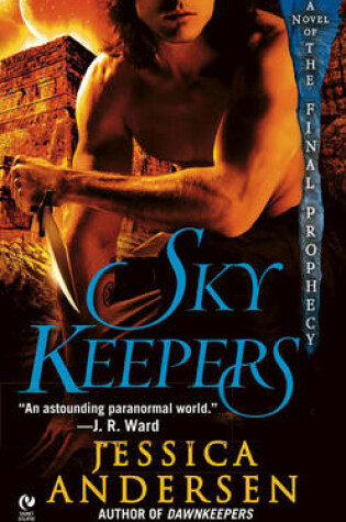 Cover of Skykeepers