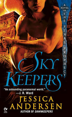 Book cover for Skykeepers