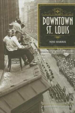 Cover of Downtown St. Louis