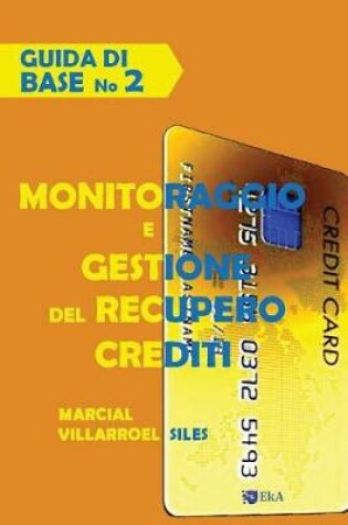 Cover of Guida Di Base Monitoraggio E Gestione del Recupero Crediti