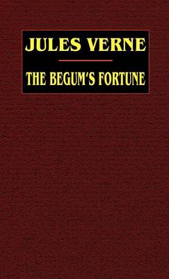 Book cover for The Begum's Fortune