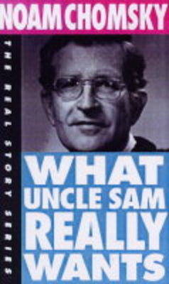 Book cover for What Uncle Sam Really Wants