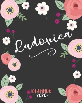 Book cover for Ludovica