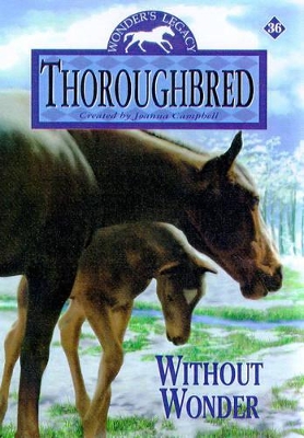 Cover of Without Wonder
