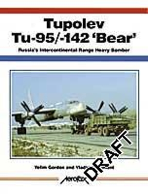 Book cover for Tupolev Tu-95/Tu-142 Bear
