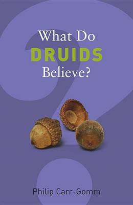 Book cover for What Do Druids Believe?