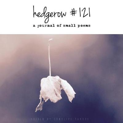 Book cover for Hedgerow #121