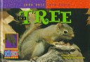 Cover of In a Tree