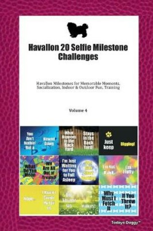 Cover of Havallon 20 Selfie Milestone Challenges