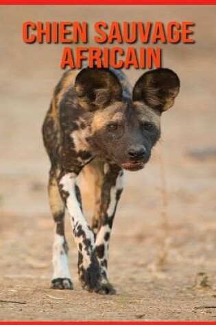 Cover of Chien Sauvage Africain