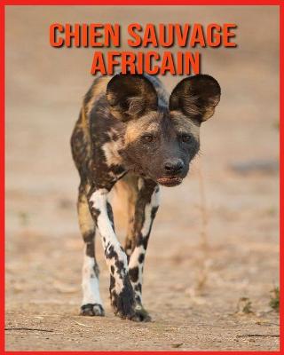 Book cover for Chien Sauvage Africain