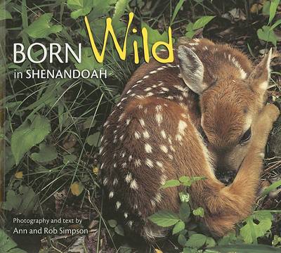 Book cover for Born Wild in Shenandoah