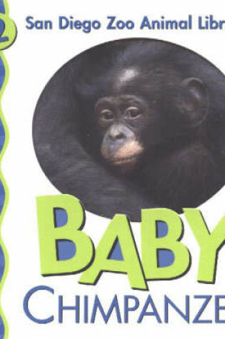 Cover of Baby Chimpanzee
