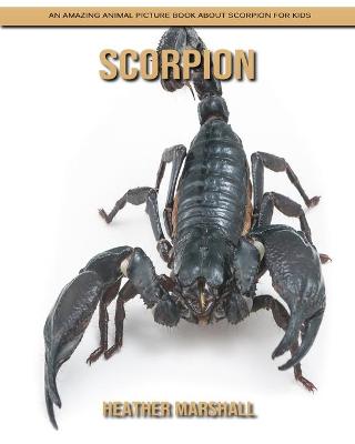 Book cover for Scorpion