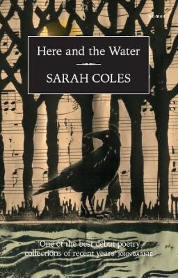 Book cover for Here and the Water