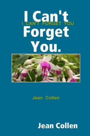 Cover of I Can't Forget You.