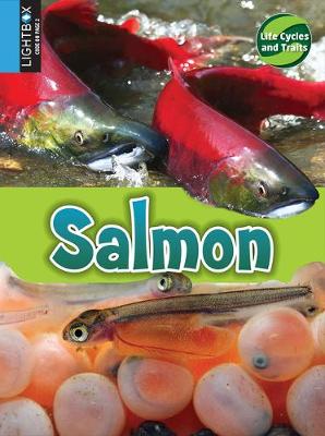 Book cover for Salmon
