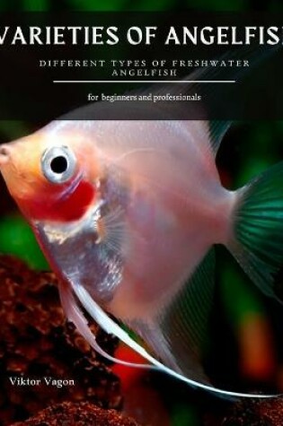 Cover of Varieties of Angelfish