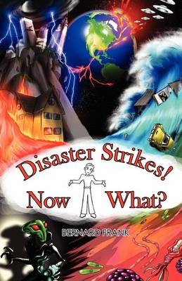 Book cover for Disaster Strikes! Now What?