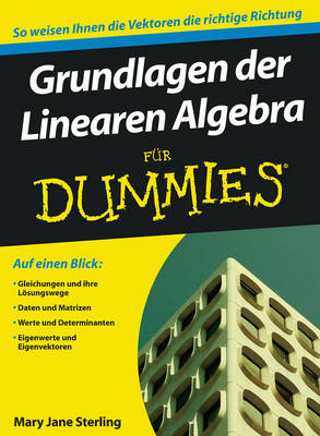 Book cover for Grundlagen der Linearen Algebra fur Dummies