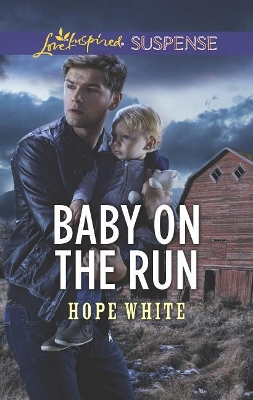 Book cover for Baby on the Run
