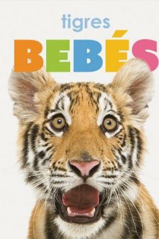 Cover of Tigres Bebés