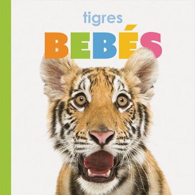 Book cover for Tigres Bebés