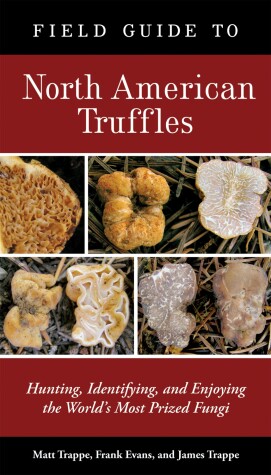 Book cover for Field Guide to North American Truffles