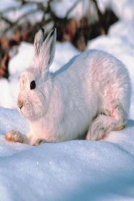 Book cover for Journal Cute White Bunny Lies In Snow