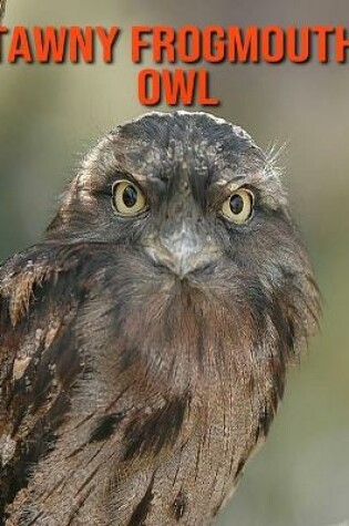 Cover of Tawny Frogmouth Owl