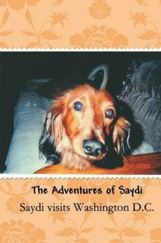 Cover of Saydi Visits Washington D.C.