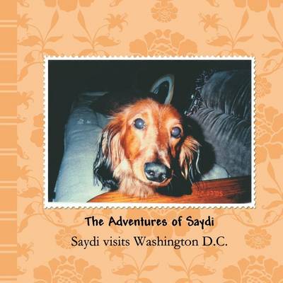 Cover of Saydi Visits Washington D.C.