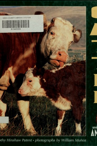 Cover of Cattle