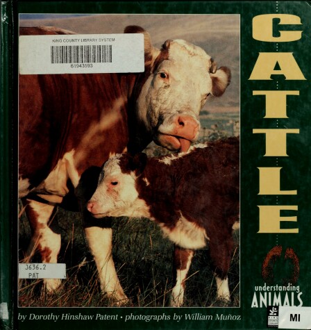 Book cover for Cattle