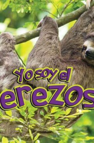 Cover of El Perezoso