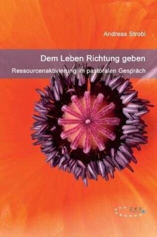 Cover of Dem Leben Richtung geben - Ressourcenaktivierung im pastoralen Gespräch