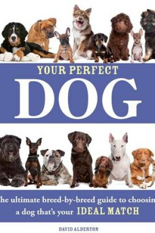 Cover of Your Perfect Dog