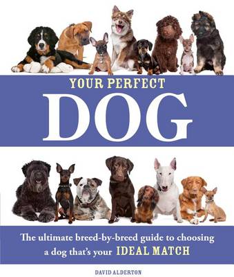 Book cover for Your Perfect Dog