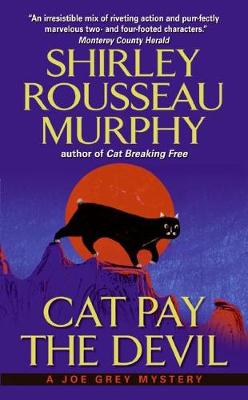 Book cover for Cat Pay the Devil