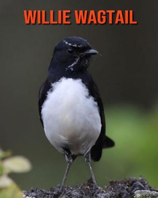 Book cover for Willie Wagtail