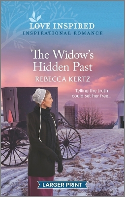 Book cover for The Widow's Hidden Past